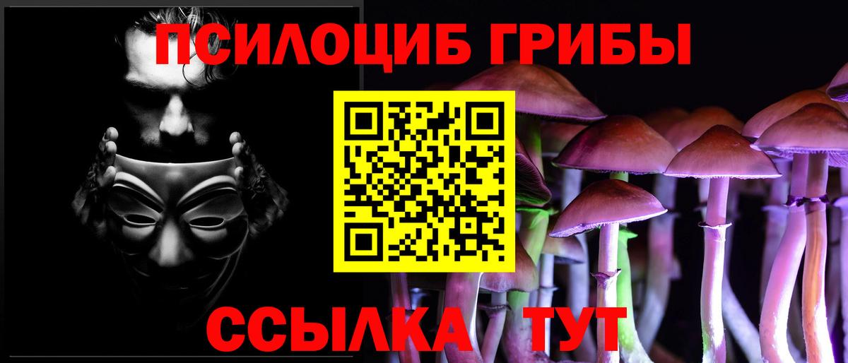 Апрелевка  Псилоцибиновые грибы Psilocybe  Вход с VPN 